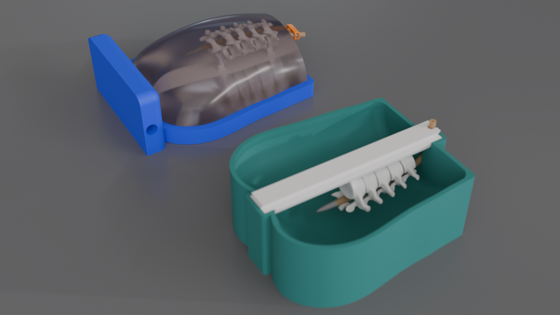 Neonatal Head Phantom v1.0 Illustration
